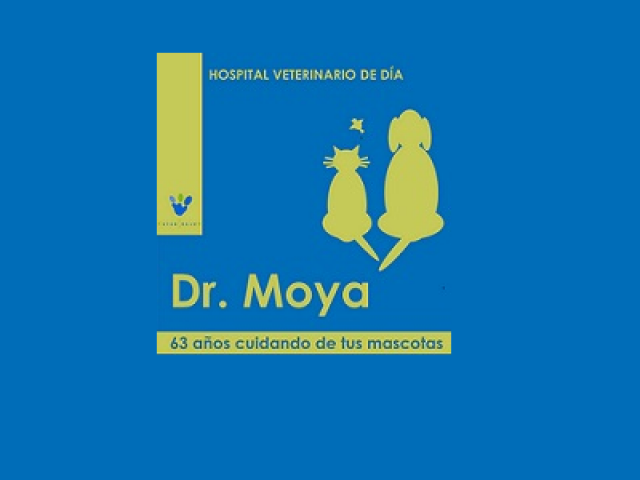 VeterSalud Dr Moya